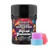 Buy binoid Mushroom Microdose Gummies mixed