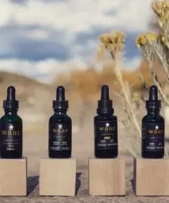 Four glass dropper bottles of Waar Botanicals tinctures (Full‑Spectrum Hemp Oil 1500 mg, CBD 1800 mg, CBG 1800 mg, CBN 1800 mg) displayed on wooden blocks in an outdoor desert setting.