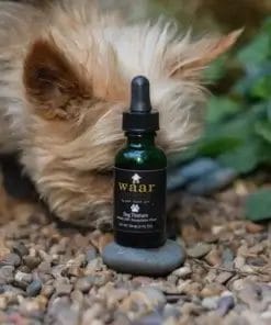 Waar Botanicals 30 mL miron, amber glass dropper bottle labeled “Peanut Butter CBD Oil for Dogs – 1000 mg,” set in front of an adorable dog named Nala.