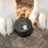 Waar Botanicals dog paw balm